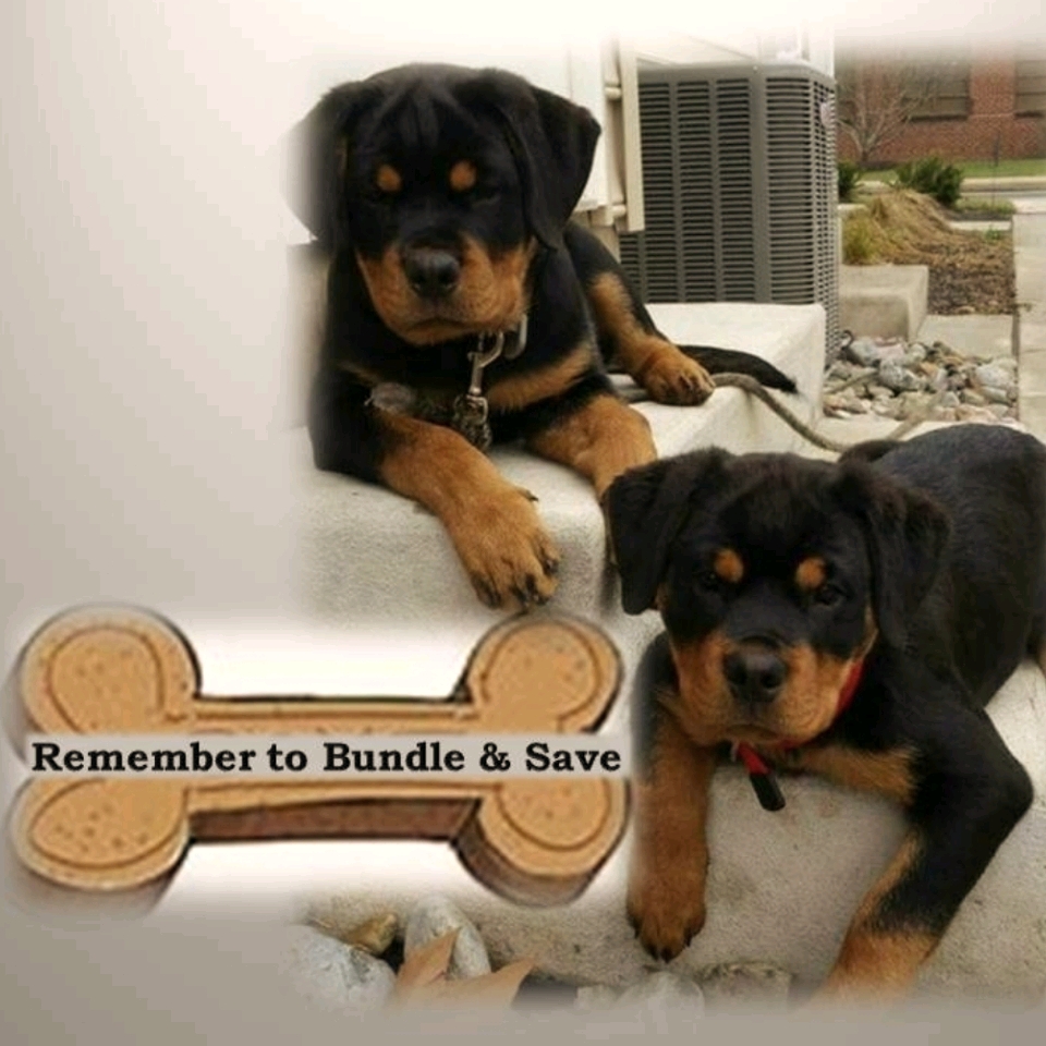 Remember To Bundle & Save